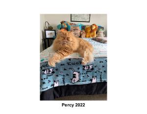 2022 Percy Calendar
