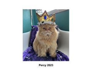 Percy Calendar 2023