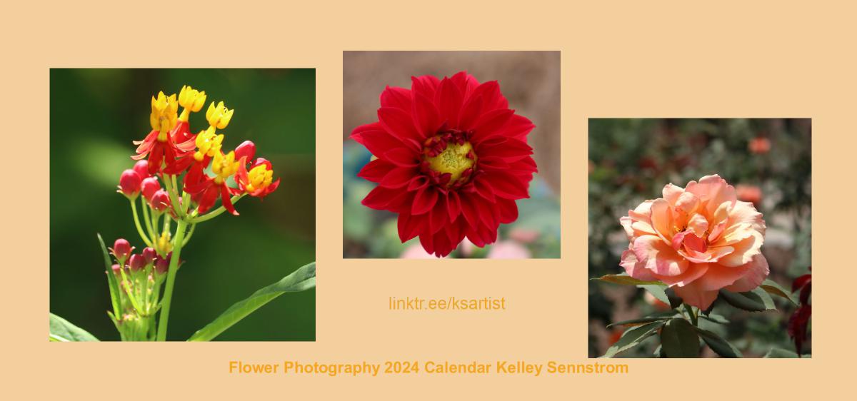 Flower Photography 2024 Calendar