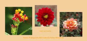 Flower Photography 2024 Calendar