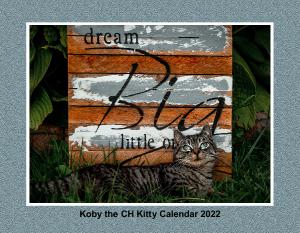 Koby the CH Kitty Calendar