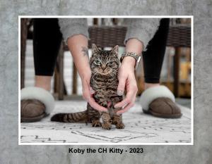 Koby the CH Kitty Calendar 2023