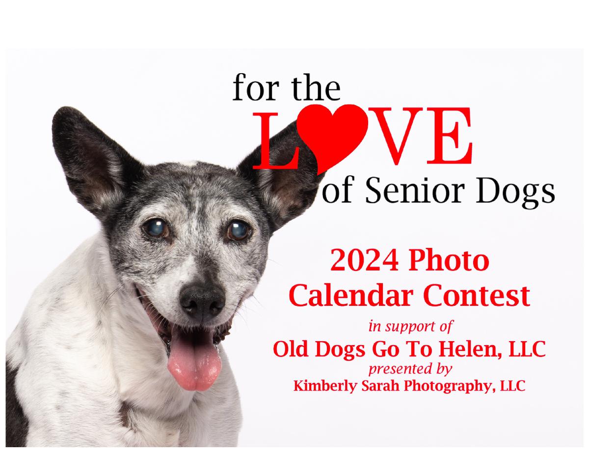 for the LOVE of Senior Dogs