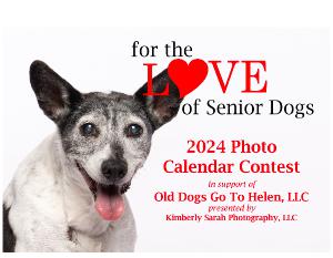 for the LOVE of Senior Dogs