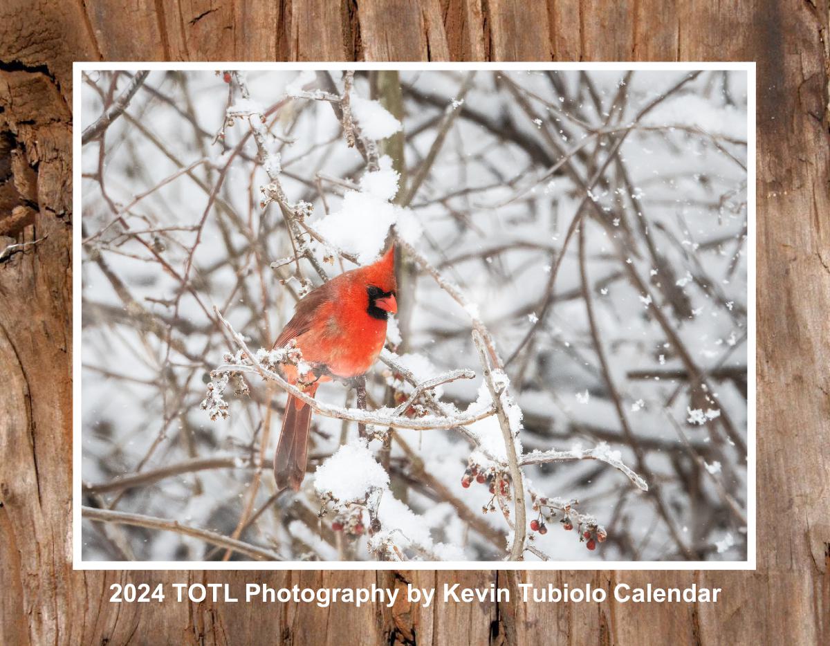 2024 TOTL Photography Calendar