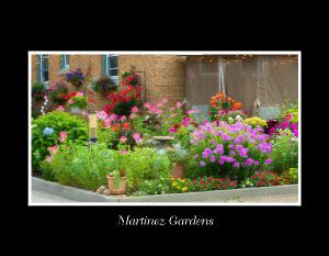 Martinez Gardens