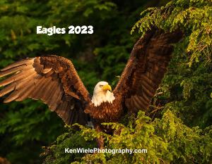 Eagle Calendar 2023