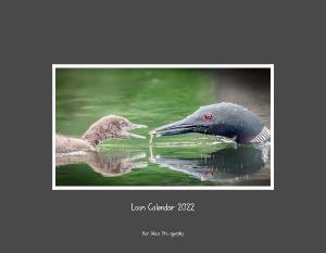 Loon Love Calendar 2022