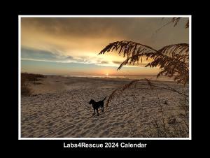 2024 Labs4Rescue Classic Calendar