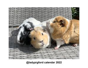 @ladypigford 2022 calendar