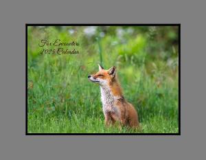 Fox Encounters 2025 Calendar