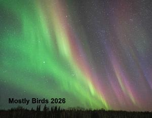 Mostly Birds 2026