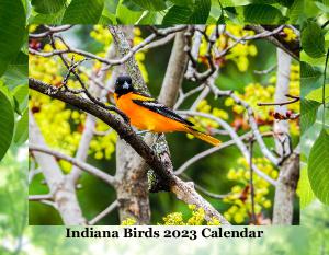 Indiana Birds 2023 Calendar