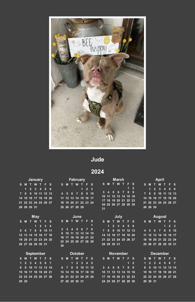 Jude poster calendar 2024