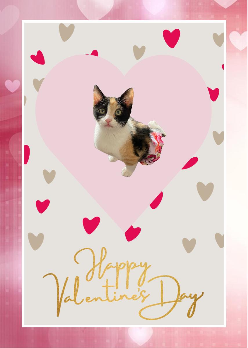 Valentines card Maggie Mae