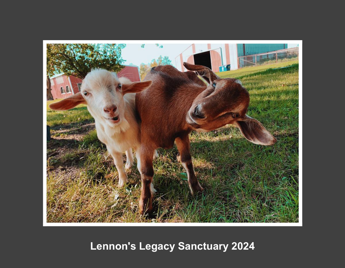 Lennon's legacy sanctuary 2024