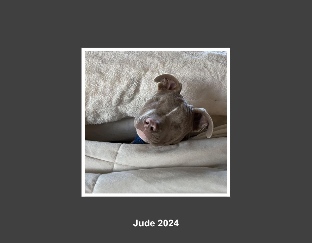 Jude 2024