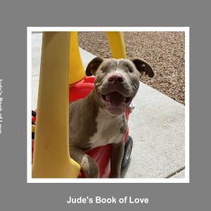 Jude’s Book of Love