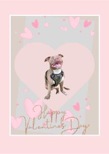 Jude Valentine’s Day card