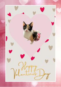 Valentines card Maggie Mae