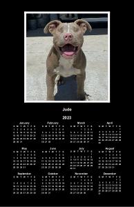 Smile with Jude Calendar