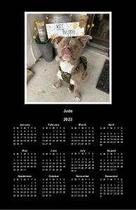 Bee happy with Jude calendar