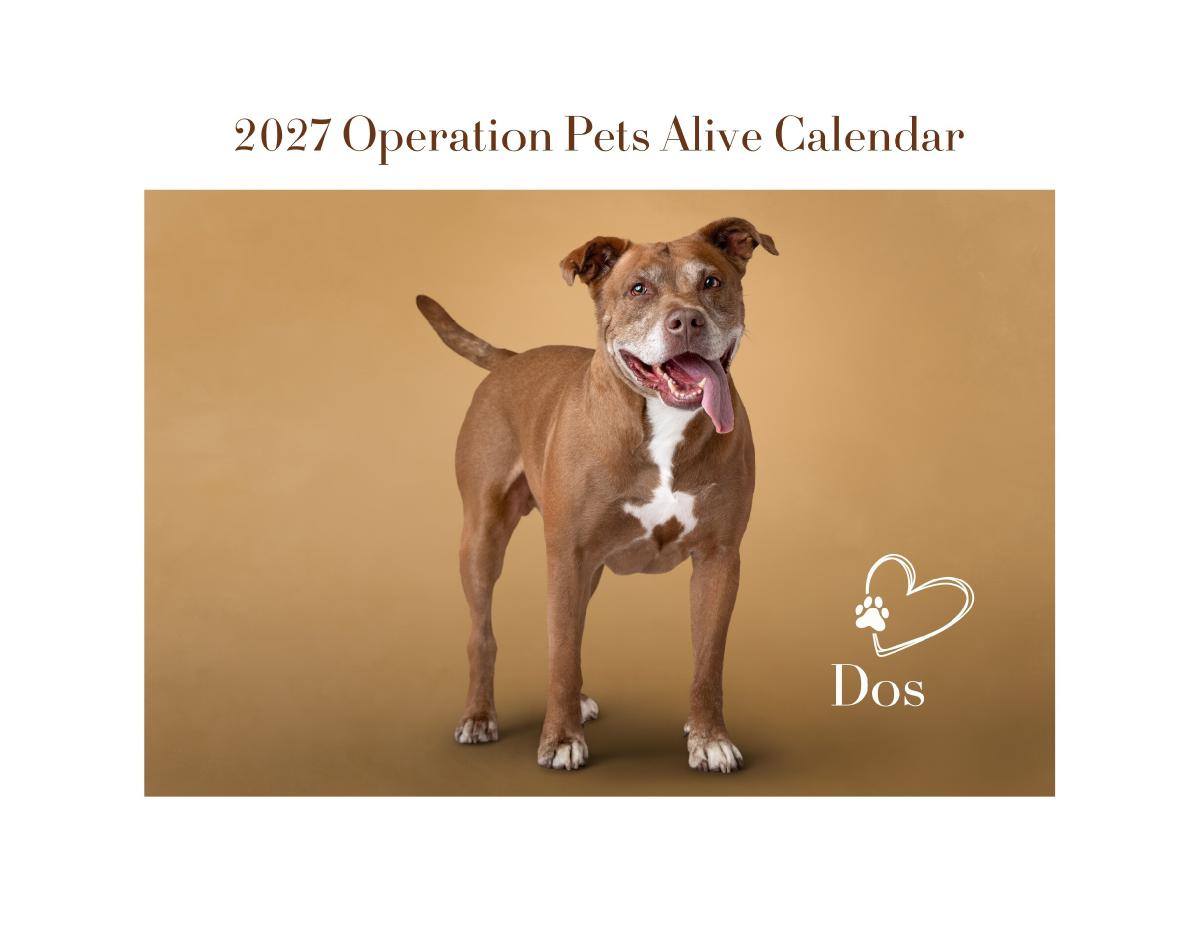 2027 Operation Pets Alive Calendar
