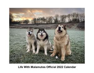 Life With Malamutes Official 2022 Calendar