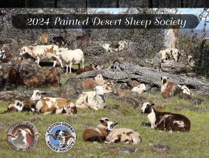 2024 Painted Desert Sheep Society