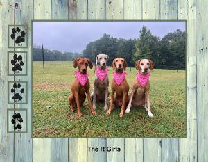 The R Girls 2027 Calendar