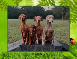 The R Girls 2026 Calendar