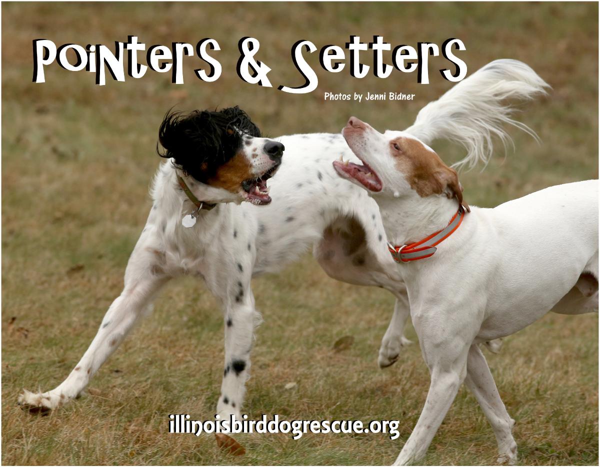 pointers and setters