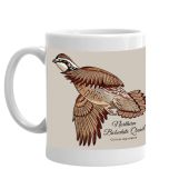 Northern Bobwhite Quail