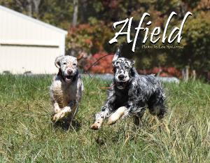 Afield