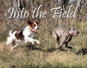 Into the Field