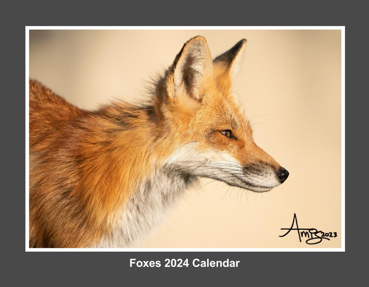 Fox Calendar 2024 version 1