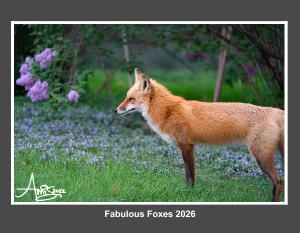 Fabulous Foxes 2026