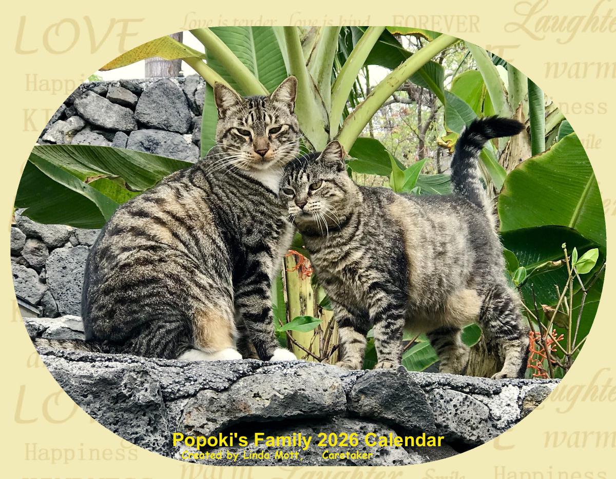 Popoki's Family 2026 Calendar