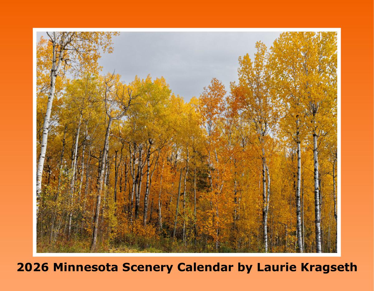 2026 Minnesota Scenery Calendar by Laurie Kragseth