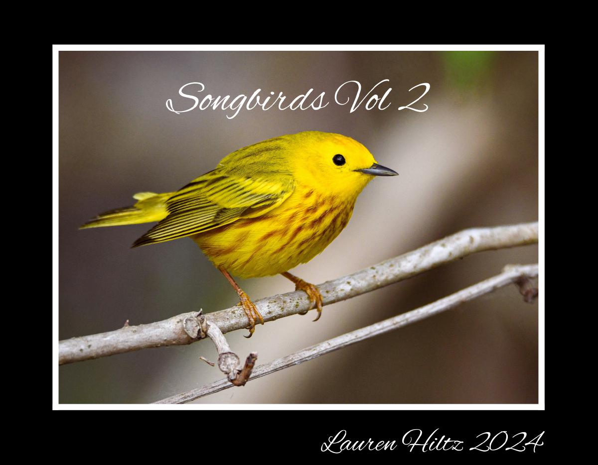 Songbirds Vol 2