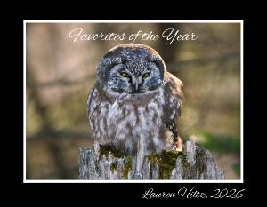 Favorites of the Year, 2026 Calendar