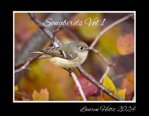 Songbirds Vol 1