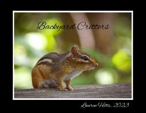 Backyard Critters By Lauren Hiltz