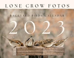 Lone Crow Fotos 2023 Backyard Birds Calendar