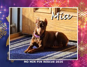 MO Min Pin Rescue 2026 Calendar