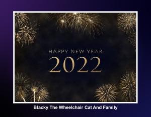 Blacky The Wheelchair Cat And Family 2022 Calendar