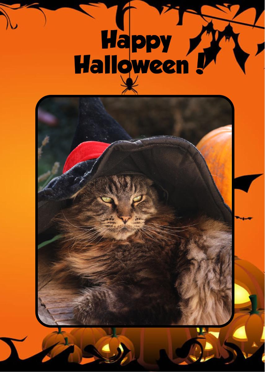 Louis Wizzard - Halloween Photo Card