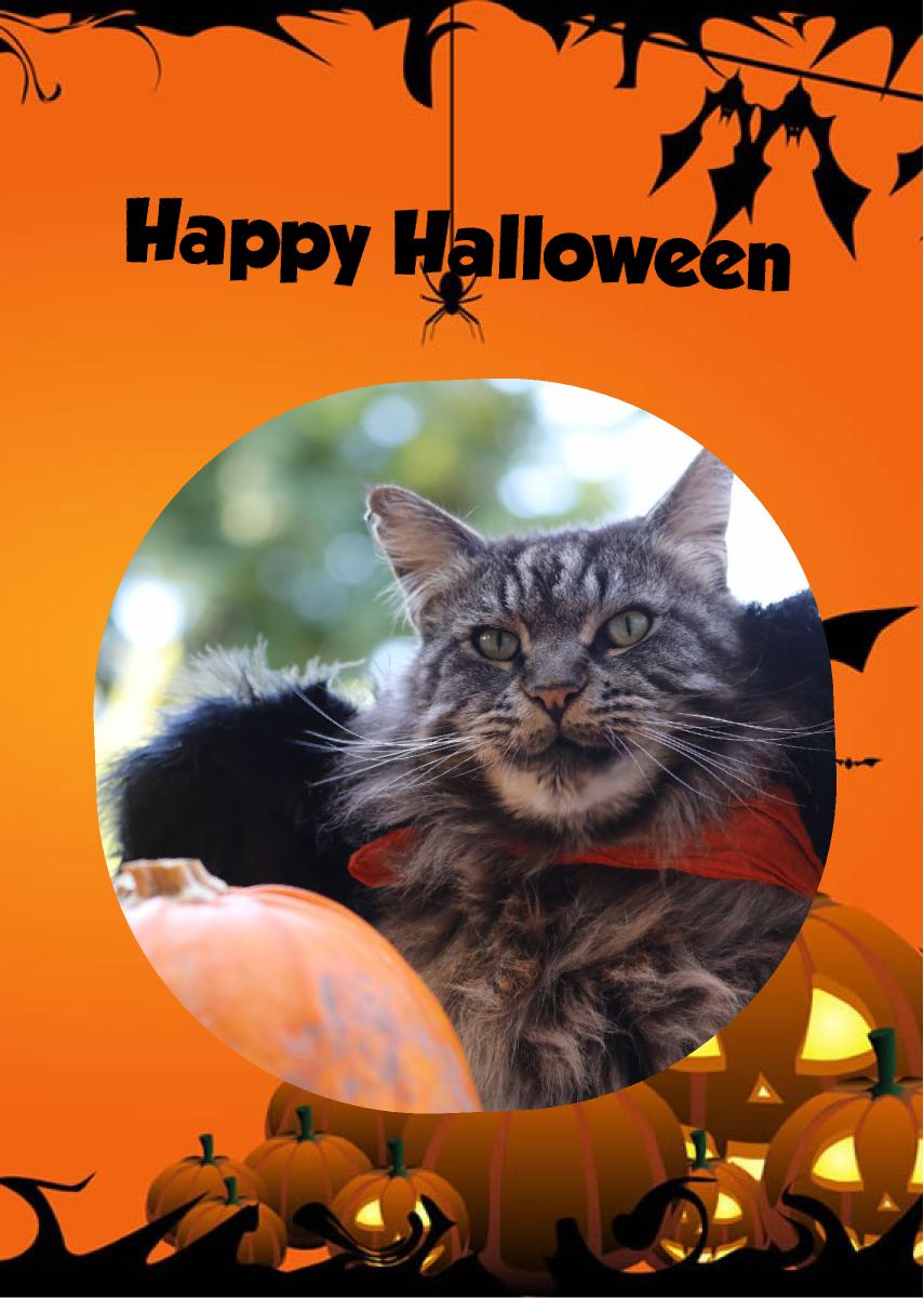 Louis Halloween Card