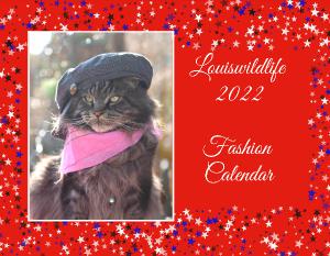 Louiswildlife Fashion Calendar 2022