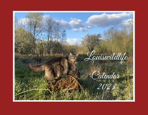Louiswildlife Wall Calendar 2023
